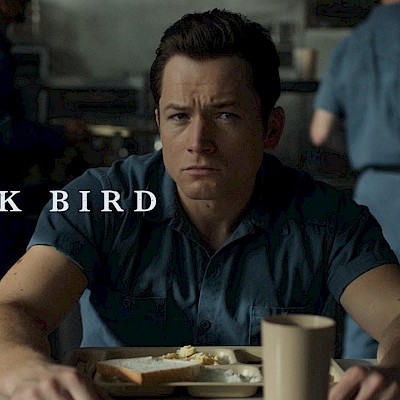 Black Bird (2022) Image