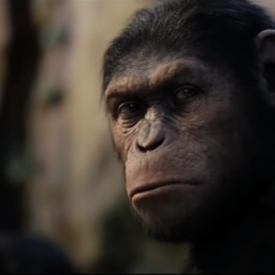 Rise of the Planet of the Apes (2011) Image