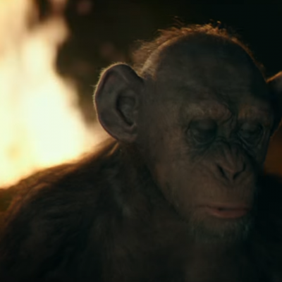 War For The Planet Of The Apes (2017) Image