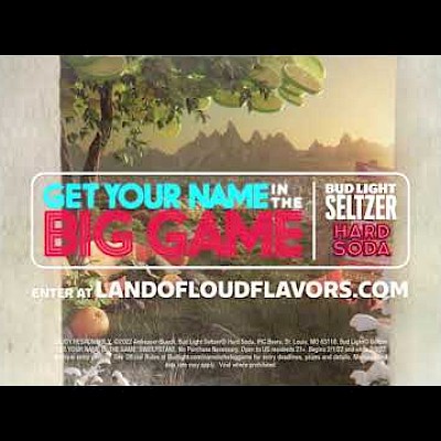 Bud Light Seltzer Hard Soda – Get Your Name in the Big Game Image