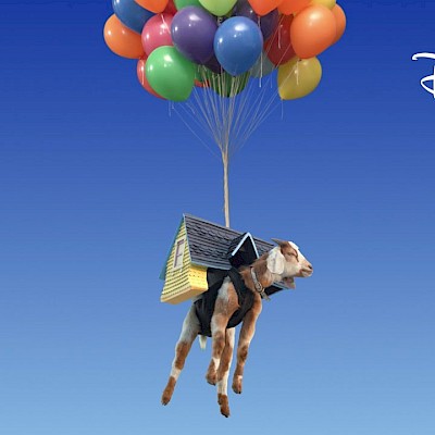 Disney+ Has All the GOATs | Disney+ Image